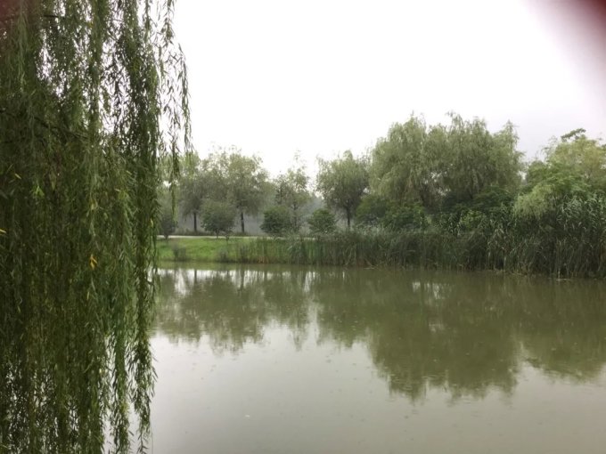 感谢友人Z,特地派司机专车护送轩妈一家前往南平北乘坐高铁G1672,让轩妈一家的足球之旅有了一个愉快的开端。11日下午16:00,高铁准点抵达南京南站。把行李拉回住所后,轩爸带着轩妈轩宝匆忙赶往奥体中心。为了能有更多时间看清奥体中心,晚餐就只能用肉包简单对付了。 介绍一下南京奥体中心。奥体中心位于南京市建邺区河西新城中心区域,是亚洲仅有的四个A级体育馆之一,世界第五代体育建筑的代表。主要由主体育场、热身场、体育馆(太空舱形)、游泳馆(海螺形)、新闻中心(桅杆状)、网球中心(莲花瓣)、棒球场、垒球场,以及交