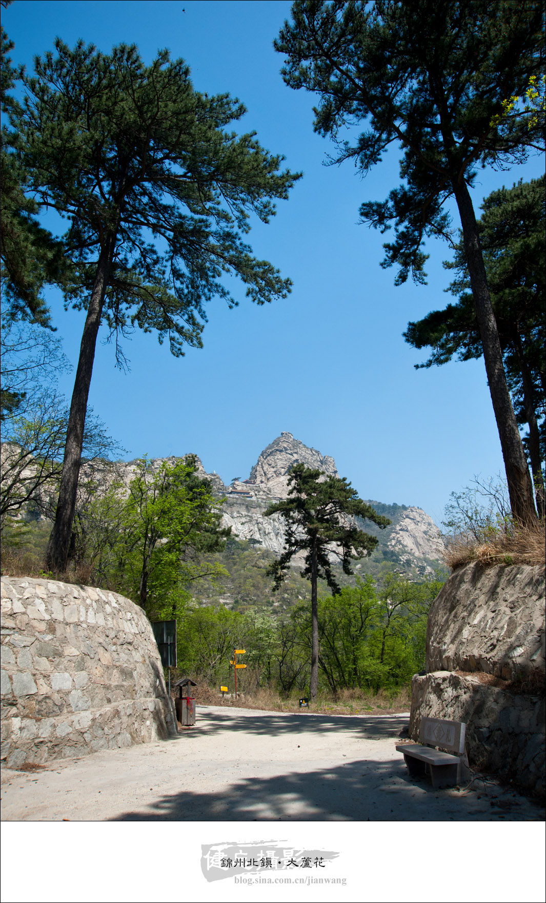 大芦花景区         