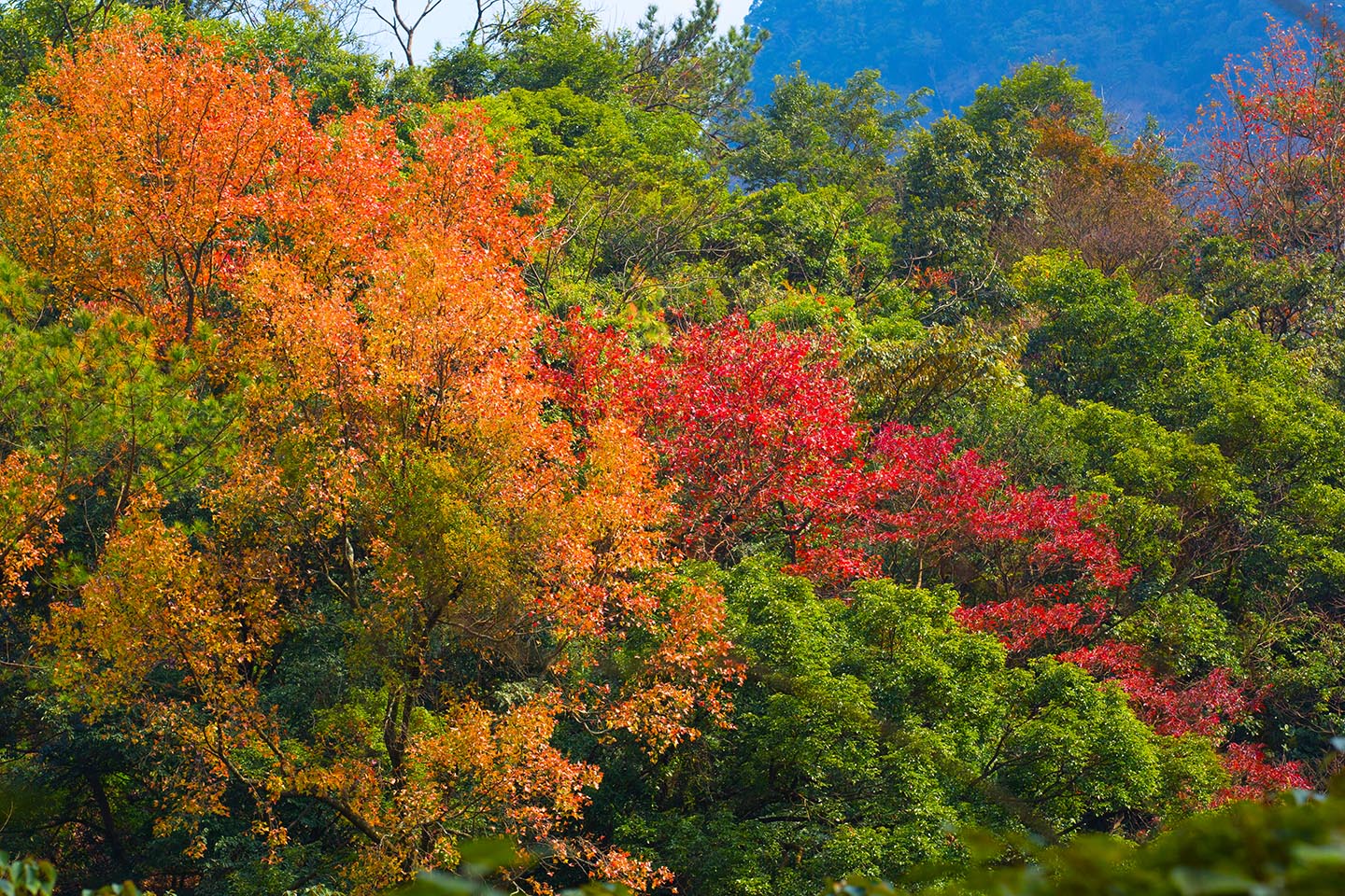 广州石门国家森林公园