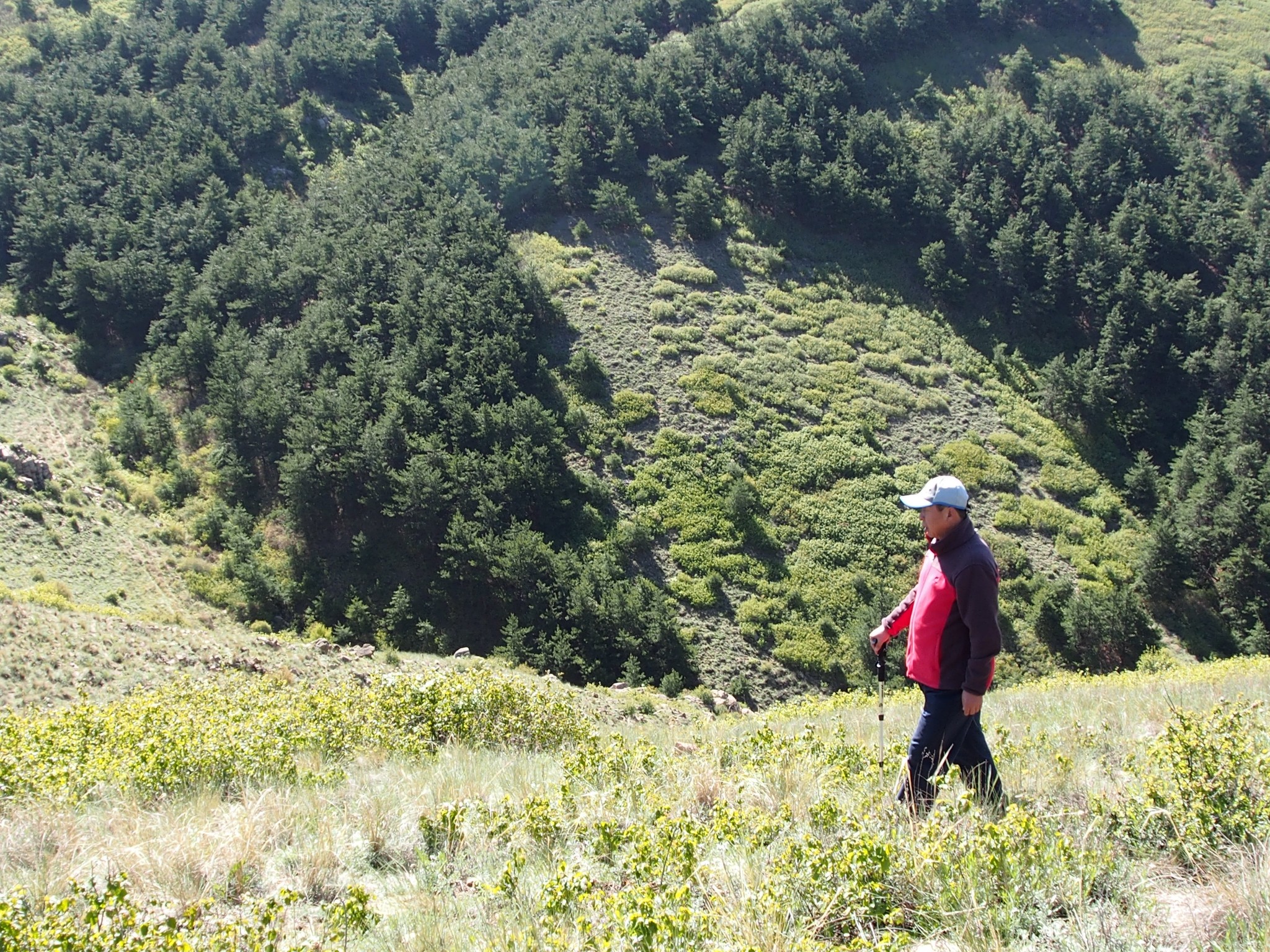大同采凉山红石崖