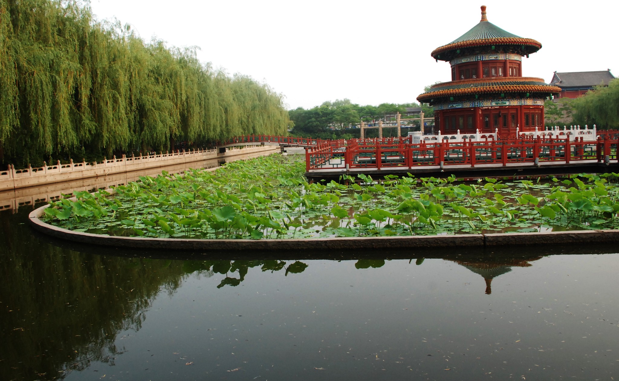 《自驾游中国(周末)》2010 河北 香河【去过天下第一城吧】随风随性