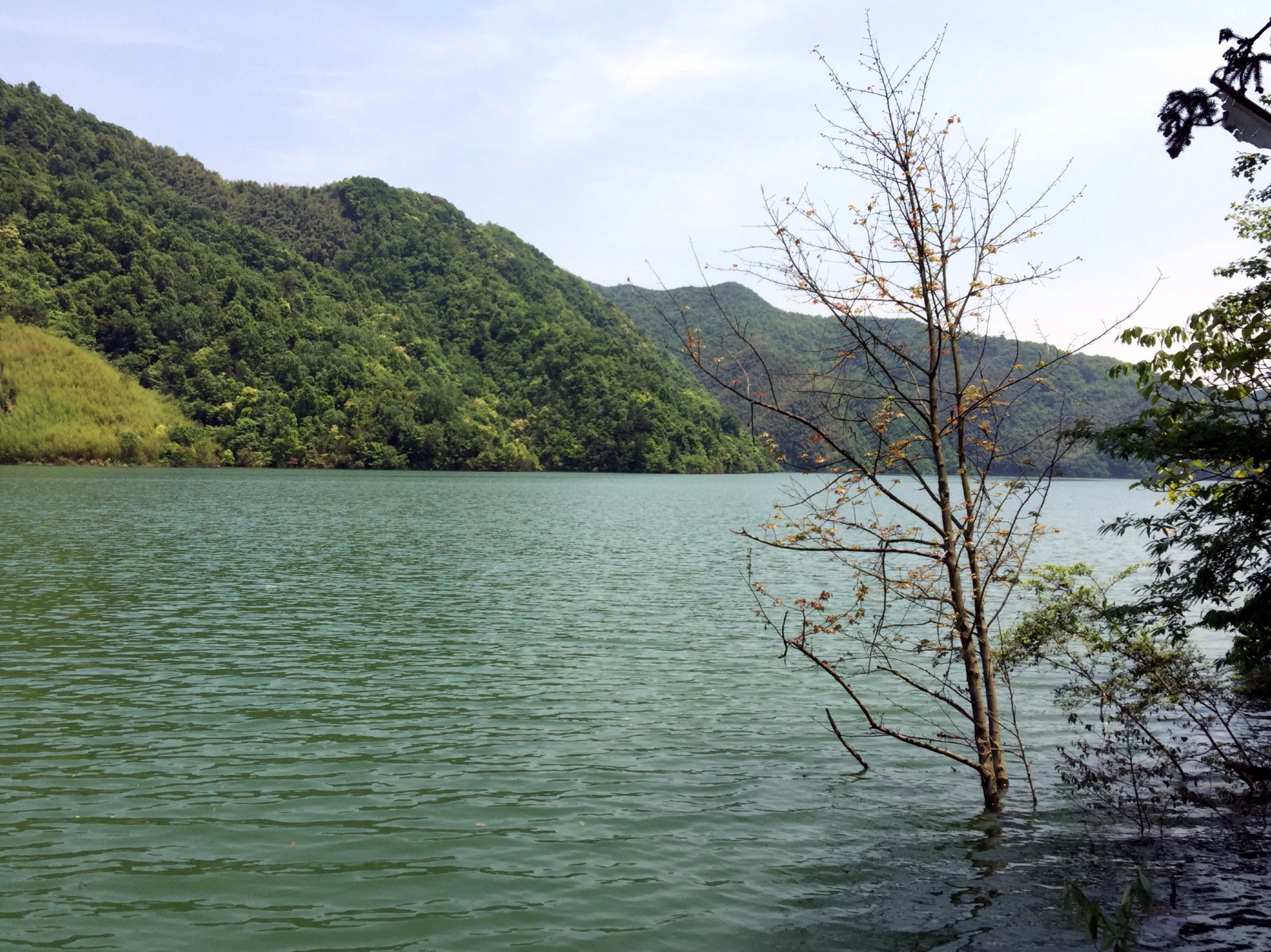 港口湾水库