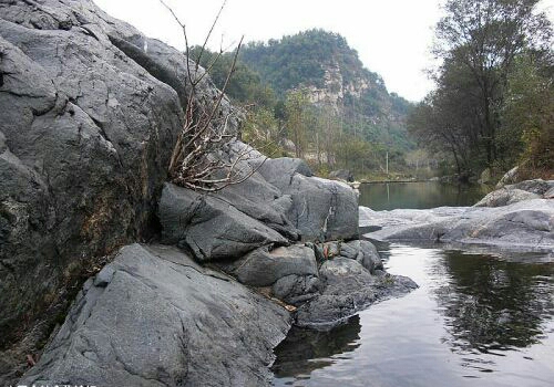 春,行记#骑游清水河,赏辛夷花海,鲁山旅游攻略 - 蚂